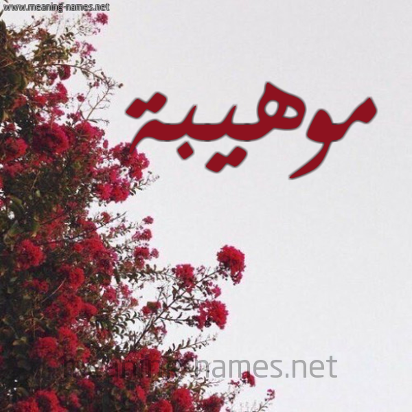 شكل 18 صوره الورد الأحمر للإسم بخط رقعة صورة اسم موهيبة Mouhiba