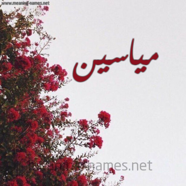شكل 18 صوره الورد الأحمر للإسم بخط رقعة صورة اسم مياسين miaseen