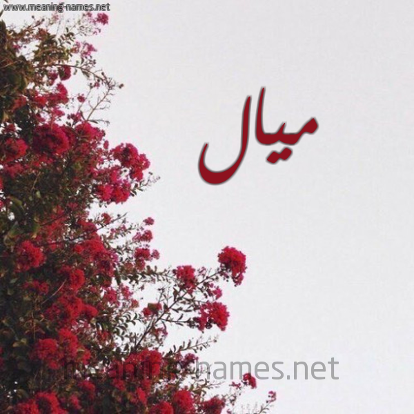 شكل 18 صوره الورد الأحمر للإسم بخط رقعة صورة اسم ميال Mial
