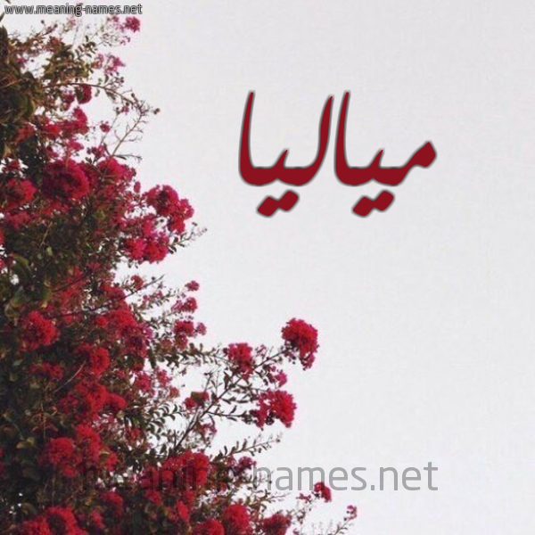 صورة اسم مياليا Malia شكل 18 صوره الورد الأحمر للإسم بخط رقعة