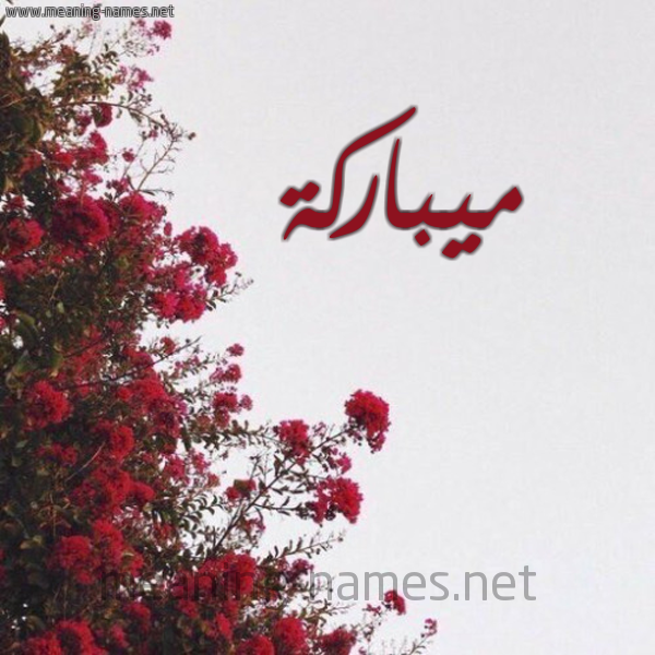 شكل 18 صوره الورد الأحمر للإسم بخط رقعة صورة اسم ميباركة Mubarakah