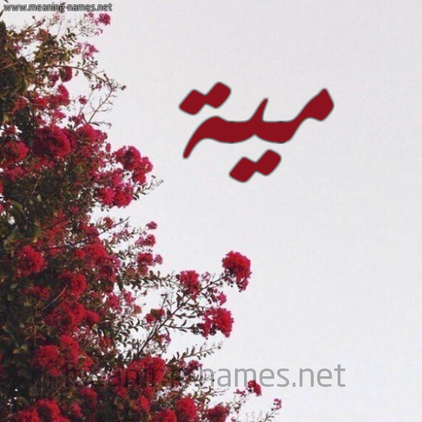 شكل 18 صوره الورد الأحمر للإسم بخط رقعة صورة اسم مية MIH
