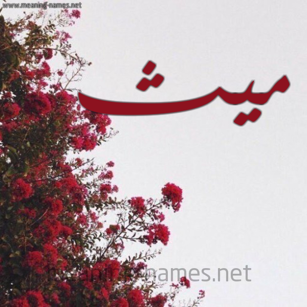 شكل 18 صوره الورد الأحمر للإسم بخط رقعة صورة اسم ميث Myth