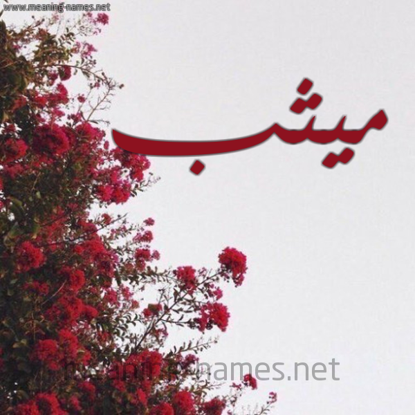 شكل 18 صوره الورد الأحمر للإسم بخط رقعة صورة اسم ميثب Mythb
