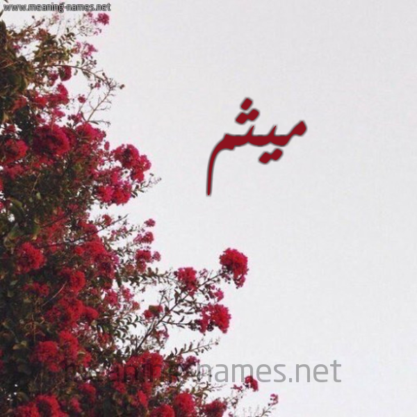 شكل 18 صوره الورد الأحمر للإسم بخط رقعة صورة اسم ميثم Maitham