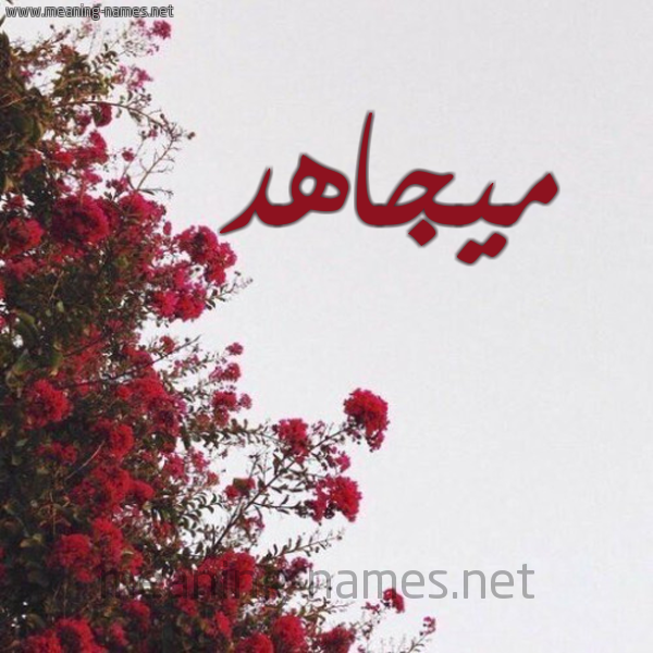 شكل 18 صوره الورد الأحمر للإسم بخط رقعة صورة اسم ميجاهد Mujahid
