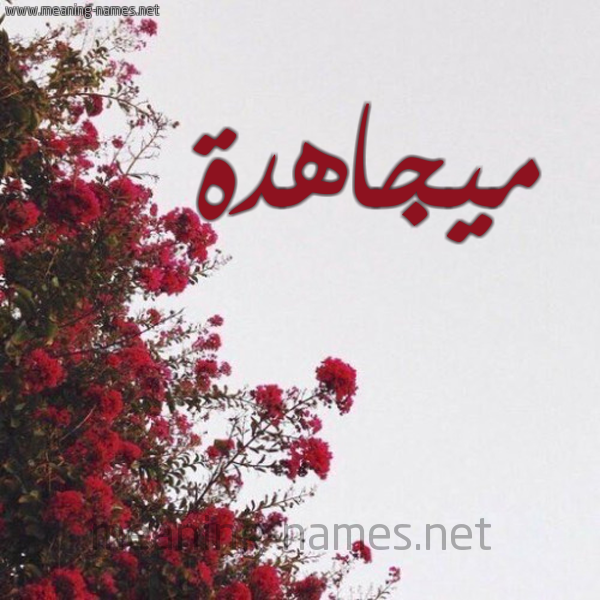 شكل 18 صوره الورد الأحمر للإسم بخط رقعة صورة اسم ميجاهدة Mujahida