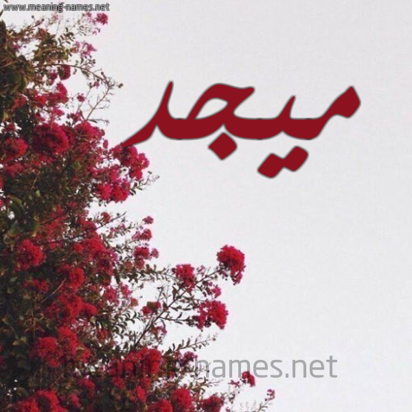 شكل 18 صوره الورد الأحمر للإسم بخط رقعة صورة اسم ميجد Majd