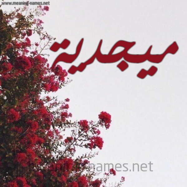 شكل 18 صوره الورد الأحمر للإسم بخط رقعة صورة اسم ميجدية Majdeyyah