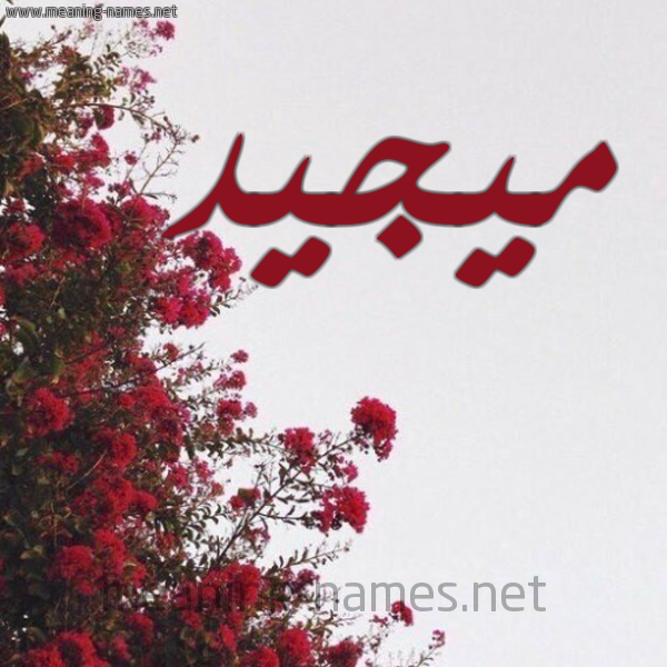 شكل 18 صوره الورد الأحمر للإسم بخط رقعة صورة اسم ميجيد Majeed