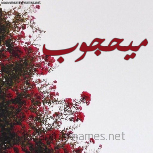 شكل 18 صوره الورد الأحمر للإسم بخط رقعة صورة اسم ميحجوب Mahjoub