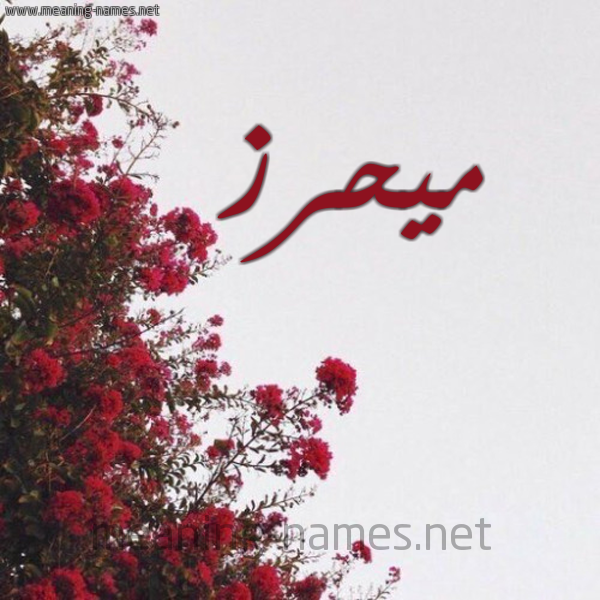 شكل 18 صوره الورد الأحمر للإسم بخط رقعة صورة اسم ميحرز Mahrez