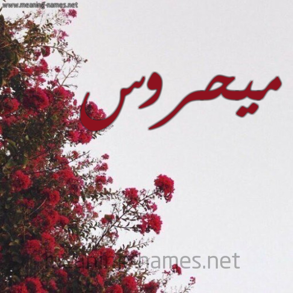 شكل 18 صوره الورد الأحمر للإسم بخط رقعة صورة اسم ميحروس Mahrous