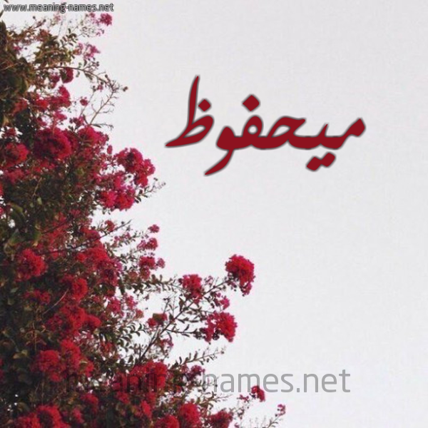 شكل 18 صوره الورد الأحمر للإسم بخط رقعة صورة اسم ميحفوظ Mahfouz