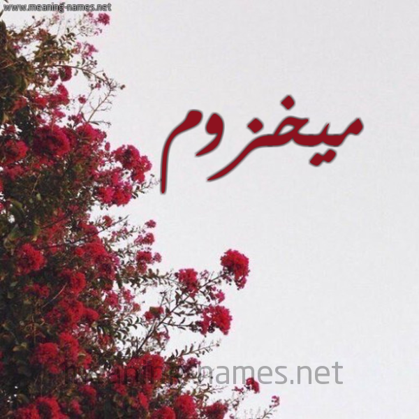 شكل 18 صوره الورد الأحمر للإسم بخط رقعة صورة اسم ميخزوم Makhzoum