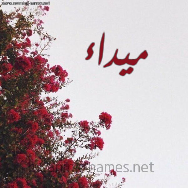 شكل 18 صوره الورد الأحمر للإسم بخط رقعة صورة اسم ميداء Myda'a