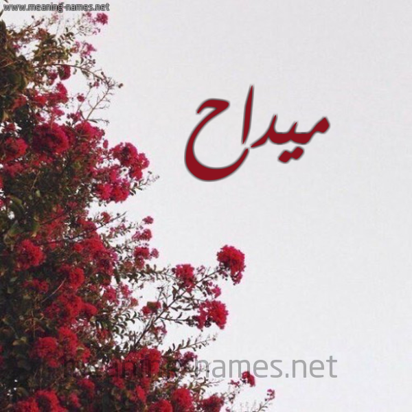 شكل 18 صوره الورد الأحمر للإسم بخط رقعة صورة اسم ميداح Maddah