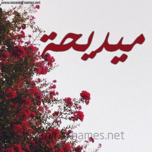 شكل 18 صوره الورد الأحمر للإسم بخط رقعة صورة اسم ميديحة Madiha