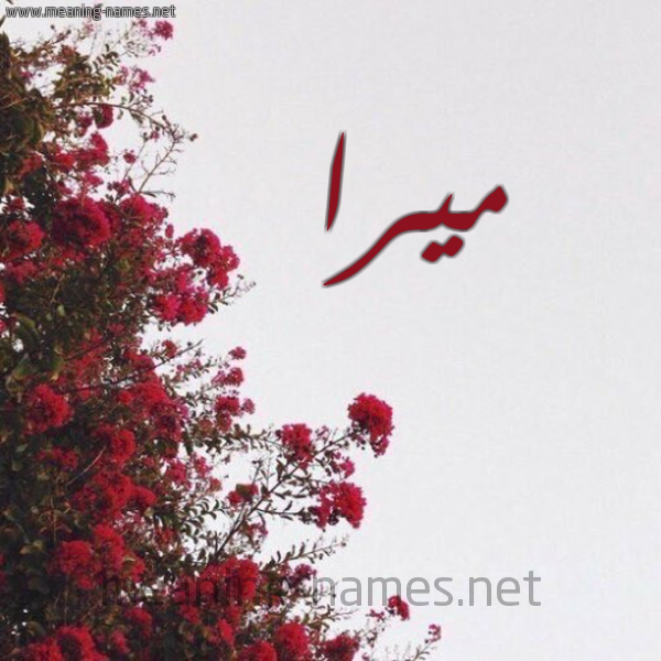 شكل 18 صوره الورد الأحمر للإسم بخط رقعة صورة اسم ميرا Mira