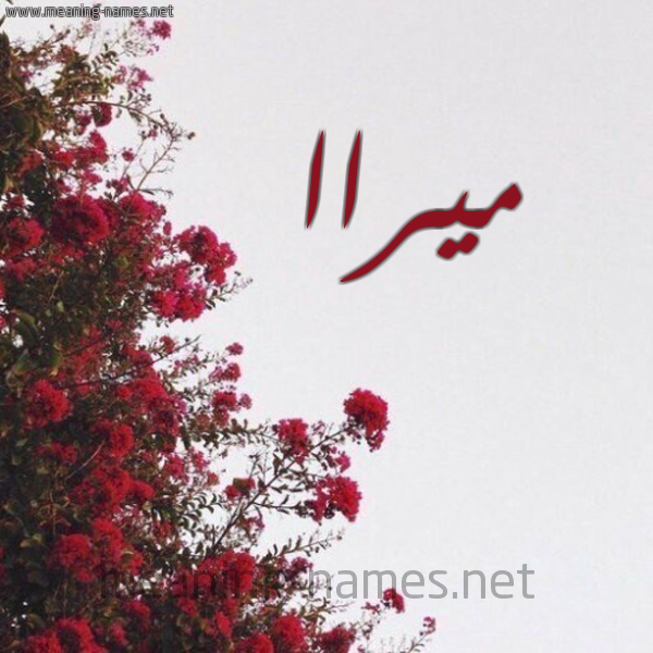 شكل 18 صوره الورد الأحمر للإسم بخط رقعة صورة اسم ميراا miraa