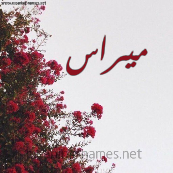 شكل 18 صوره الورد الأحمر للإسم بخط رقعة صورة اسم ميراس Miras