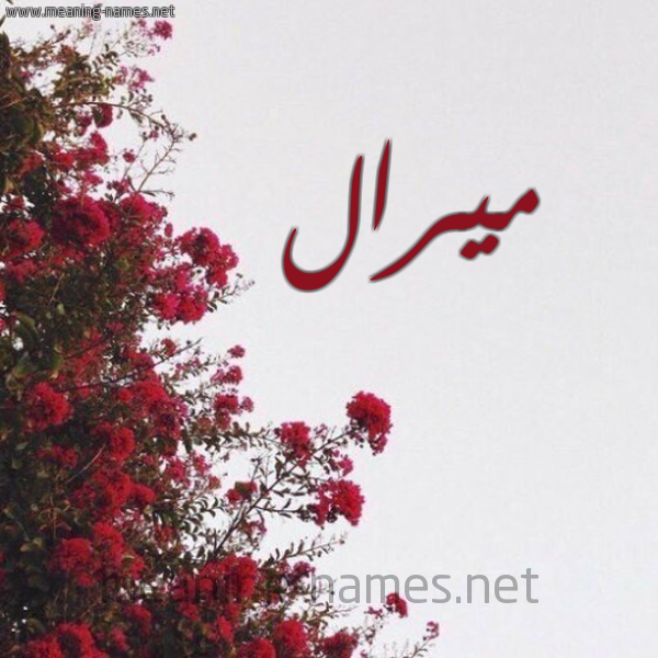 شكل 18 صوره الورد الأحمر للإسم بخط رقعة صورة اسم ميرال Miral