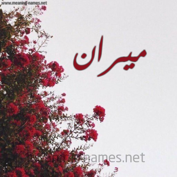 شكل 18 صوره الورد الأحمر للإسم بخط رقعة صورة اسم ميران miran