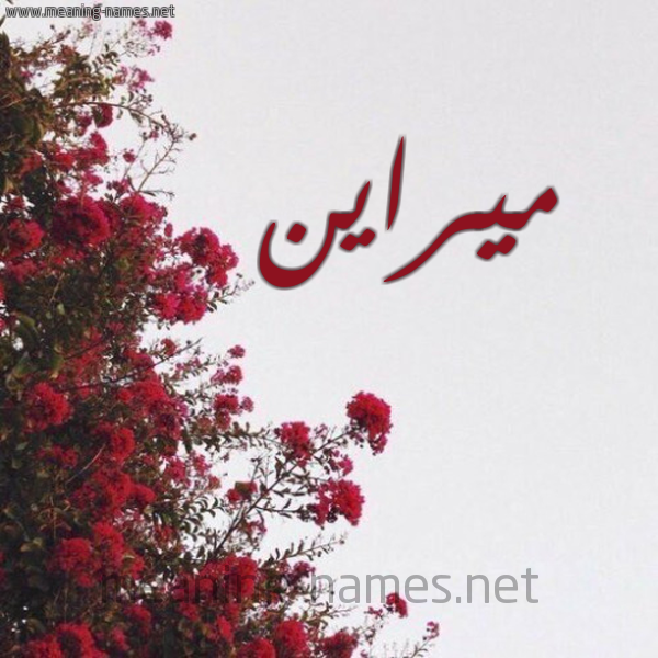 شكل 18 صوره الورد الأحمر للإسم بخط رقعة صورة اسم ميراين Miran