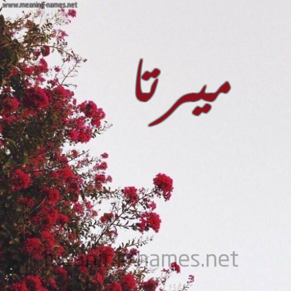 شكل 18 صوره الورد الأحمر للإسم بخط رقعة صورة اسم ميرتا MIRTA