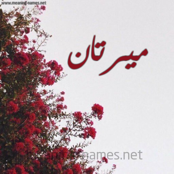 شكل 18 صوره الورد الأحمر للإسم بخط رقعة صورة اسم ميرتان mirtan