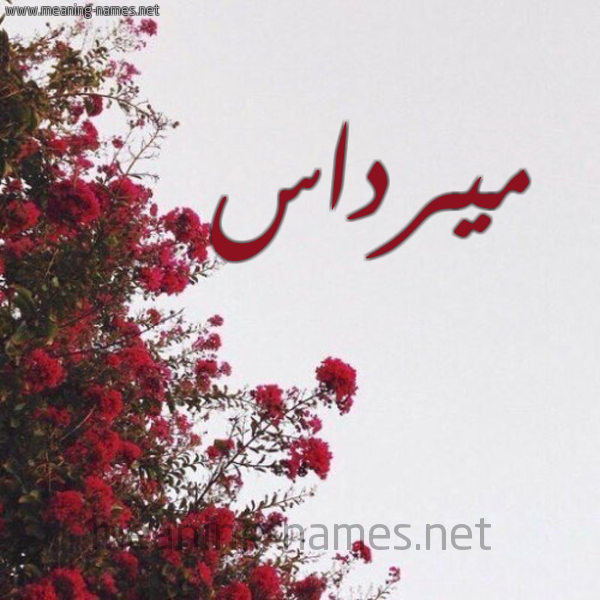 شكل 18 صوره الورد الأحمر للإسم بخط رقعة صورة اسم ميرداس Merdas