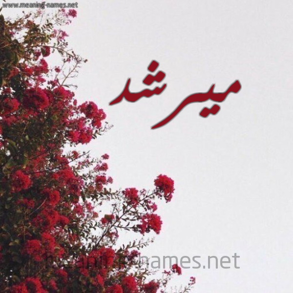 شكل 18 صوره الورد الأحمر للإسم بخط رقعة صورة اسم ميرشد Morshed