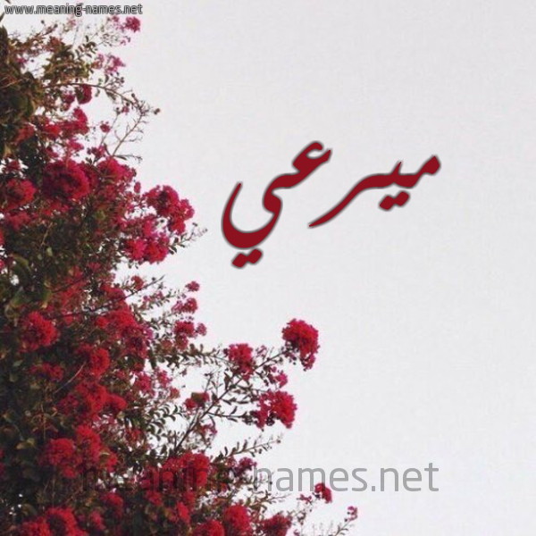 شكل 18 صوره الورد الأحمر للإسم بخط رقعة صورة اسم ميرعي Marei