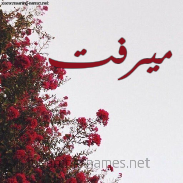 شكل 18 صوره الورد الأحمر للإسم بخط رقعة صورة اسم ميرفت Merfat