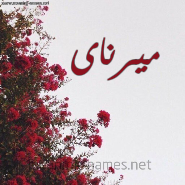 شكل 18 صوره الورد الأحمر للإسم بخط رقعة صورة اسم ميرناى mirnai