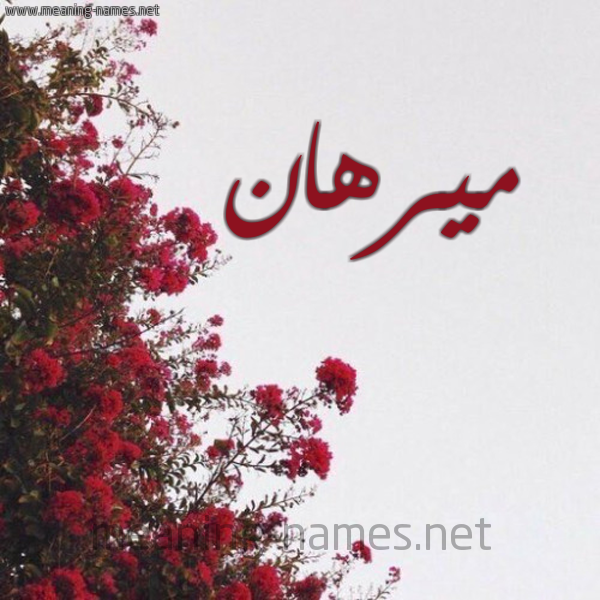 شكل 18 صوره الورد الأحمر للإسم بخط رقعة صورة اسم ميرهان mirhan