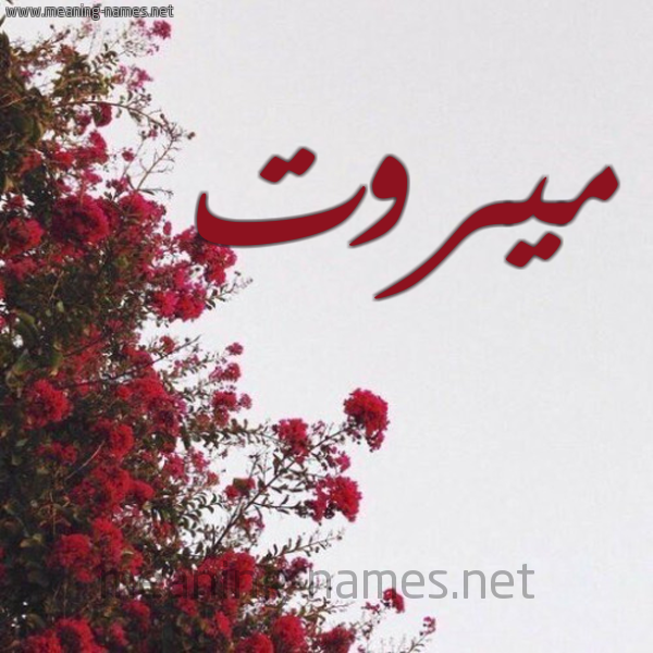شكل 18 صوره الورد الأحمر للإسم بخط رقعة صورة اسم ميروت MIROT