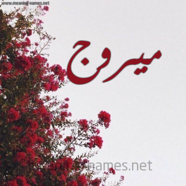 شكل 18 صوره الورد الأحمر للإسم بخط رقعة صورة اسم ميروج Morooj