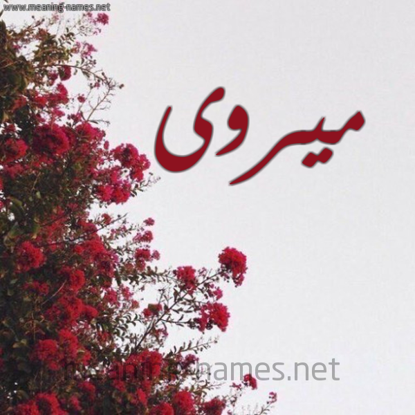 شكل 18 صوره الورد الأحمر للإسم بخط رقعة صورة اسم ميروى Marwa