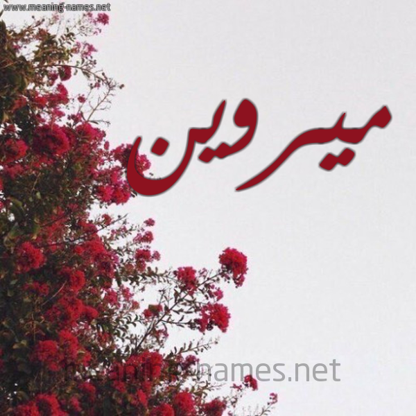 شكل 18 صوره الورد الأحمر للإسم بخط رقعة صورة اسم ميروين mirween