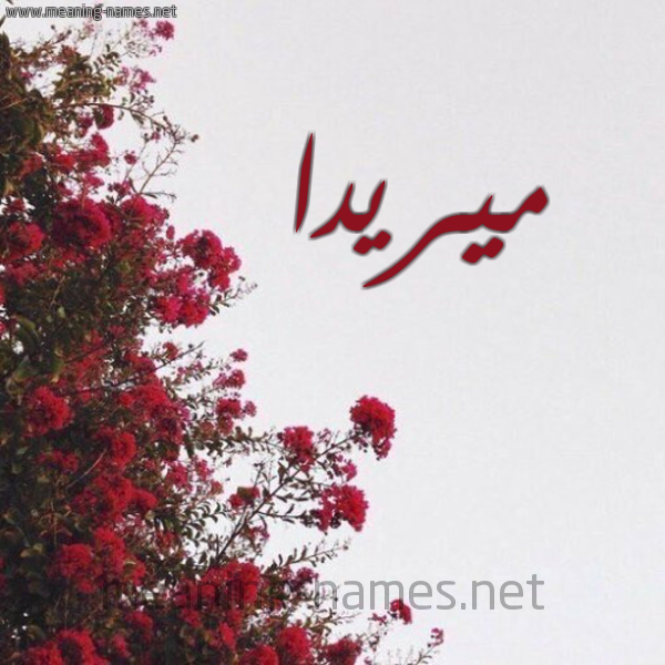 شكل 18 صوره الورد الأحمر للإسم بخط رقعة صورة اسم ميريدا mirida