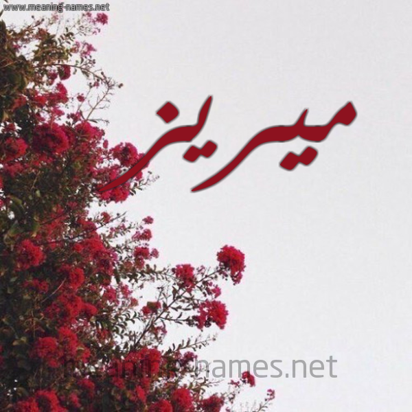 شكل 18 صوره الورد الأحمر للإسم بخط رقعة صورة اسم ميريز mireez