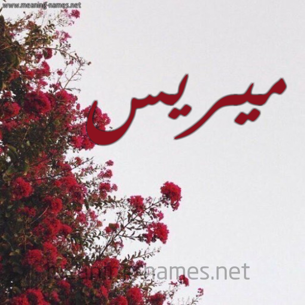 شكل 18 صوره الورد الأحمر للإسم بخط رقعة صورة اسم ميريس mirees
