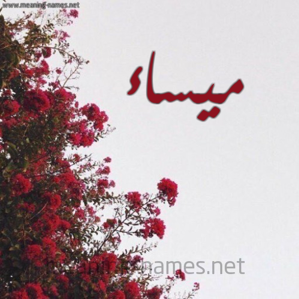 شكل 18 صوره الورد الأحمر للإسم بخط رقعة صورة اسم ميساء Maysaa