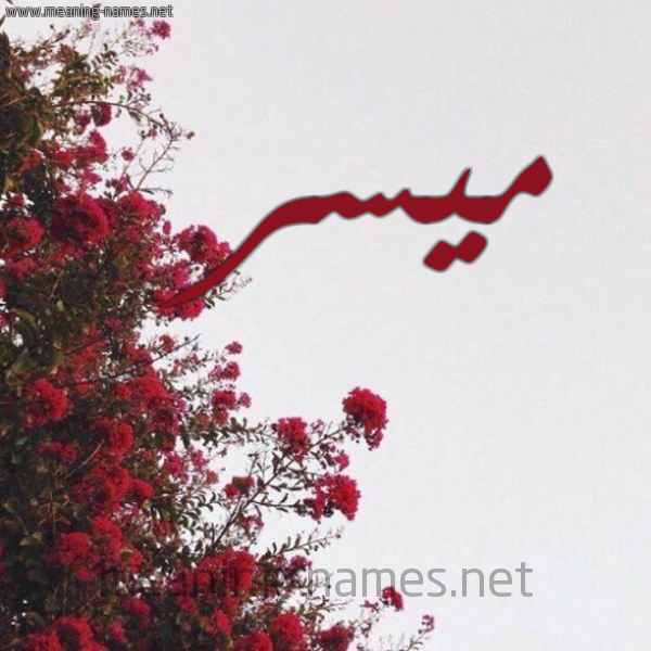 شكل 18 صوره الورد الأحمر للإسم بخط رقعة صورة اسم ميسر Maisr