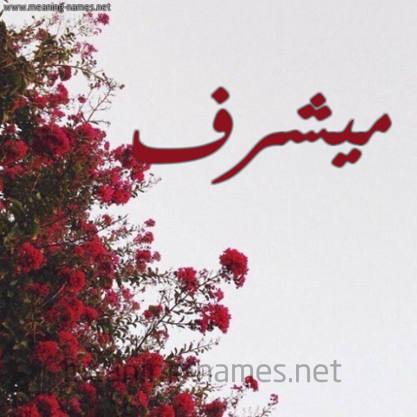 شكل 18 صوره الورد الأحمر للإسم بخط رقعة صورة اسم ميشرف Moshref