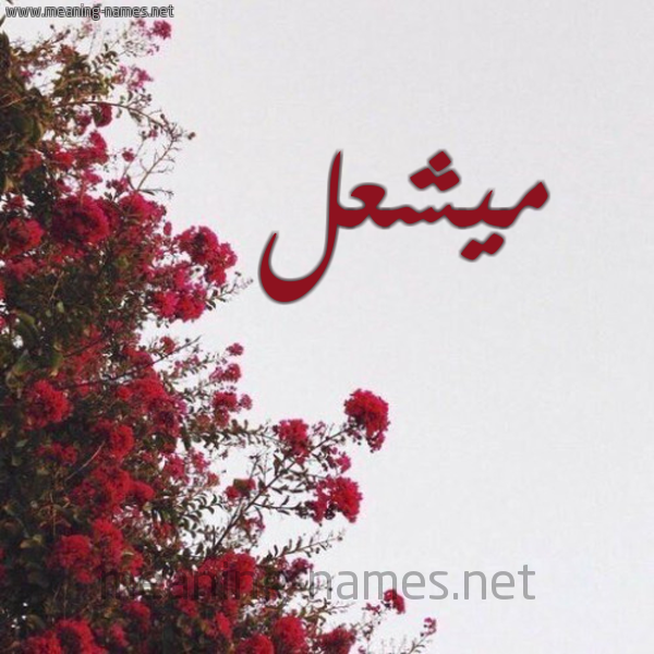 شكل 18 صوره الورد الأحمر للإسم بخط رقعة صورة اسم ميشعل Mashaal