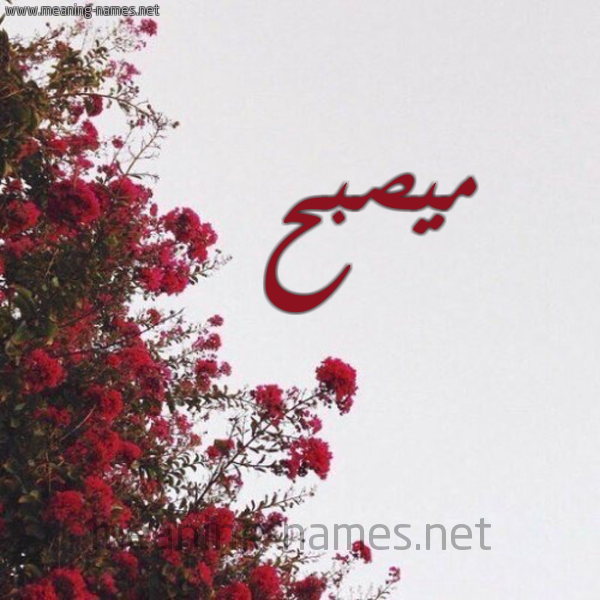 شكل 18 صوره الورد الأحمر للإسم بخط رقعة صورة اسم ميصبح Musabah