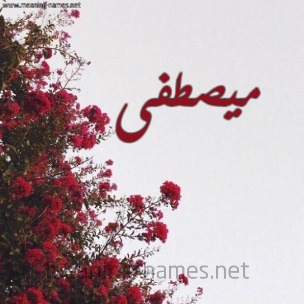 شكل 18 صوره الورد الأحمر للإسم بخط رقعة صورة اسم ميصطفى Moustafa