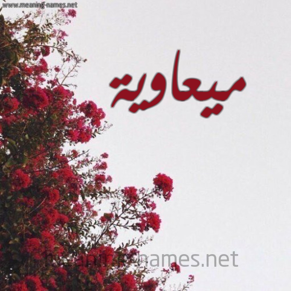 شكل 18 صوره الورد الأحمر للإسم بخط رقعة صورة اسم ميعاوية Muawiyah